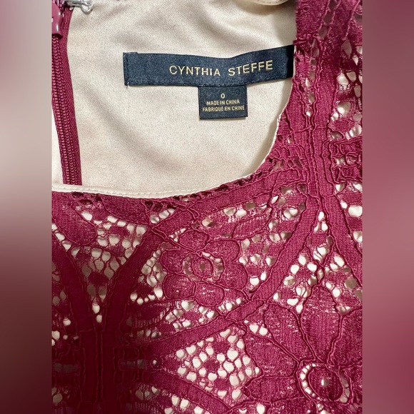 NWT Cynthia Steffe Lace Overlay Dress (0) - Picture 3 of 4